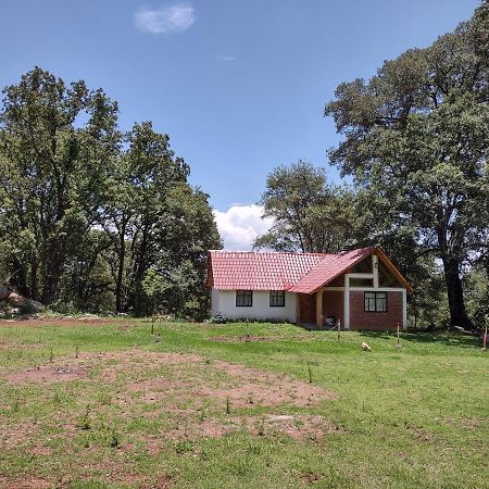 Cabañas Santa Brígida Bermudez Huasca Villa Huasca de Ocampo Exterior foto