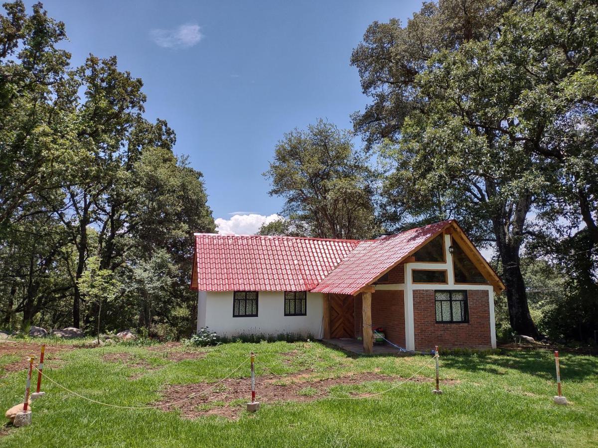 Cabañas Santa Brígida Bermudez Huasca Villa Huasca de Ocampo Exterior foto